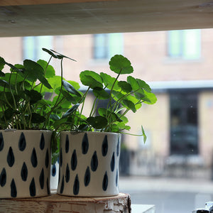 Plant lovers