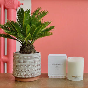 plant+candle